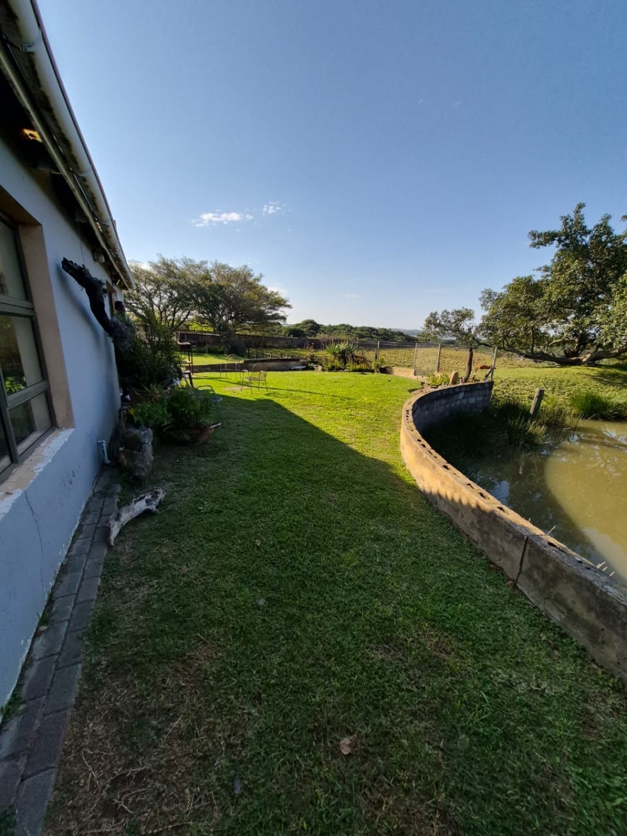 Commercial Property for Sale in Cove Rock Eastern Cape